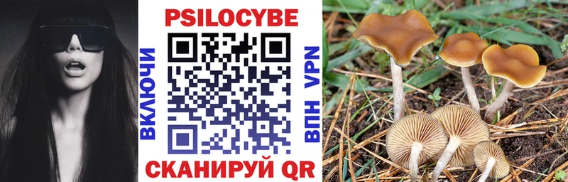 Галлюциногенные грибы прущие грибы  где найти   Боровичи 